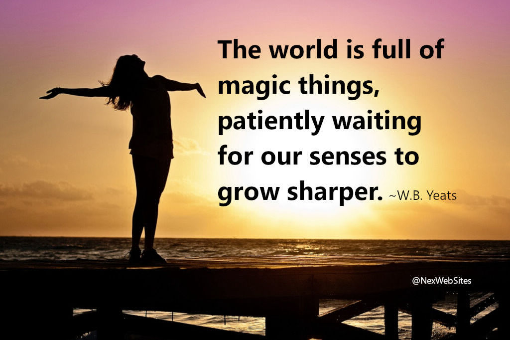 The world is full of magic things - quote